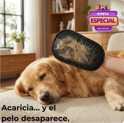 🎁 Pack 2x1 PetGlobe - Cuida tu ropa y Limpiai a tu mascota sin estrés